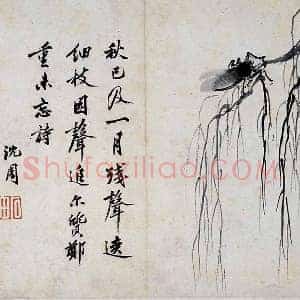 沈周水墨画《秋柳鸣蝉图》页