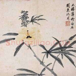 沈周花卉画《秋葵图》页