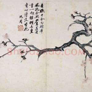 沈周《杏花图》页