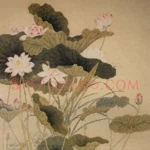 清代 李秉德《荷花图》国画花鸟工笔作品图片赏析