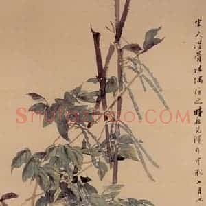 清代 任颐《猫戏图》国画花鸟作品图片赏析