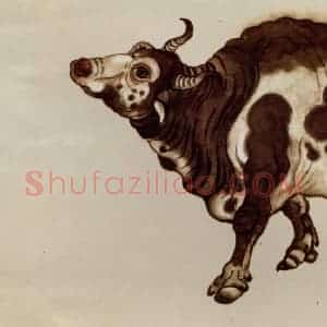 1971年 刘海粟《拟唐韩晋公五牛图卷(部分)》国画花鸟作品图片赏析