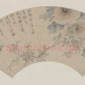 张舒秋花图扇页
