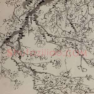1757年 金农《梅花册》国画花鸟作品图片赏析