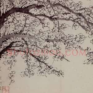 1757年 金农《梅花册》国画花鸟作品图片赏析