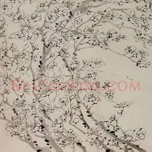 1757年 金农《梅花册》国画花鸟作品图片赏析