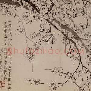 1757年 金农《梅花册》国画花鸟作品图片赏析