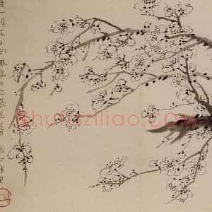 1757年 金农《梅花册》国画花鸟作品图片赏析