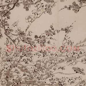1757年 金农《梅花册》国画花鸟作品图片赏析