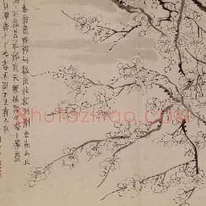 1757年 金农《梅花册》国画花鸟作品图片赏析