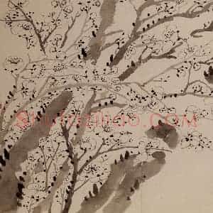 1757年 金农《梅花册》国画花鸟作品图片赏析