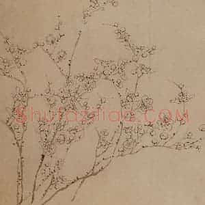 1758年 金农《梅花三绝》国画花鸟作品图片赏析