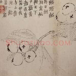 1759年 金农《杂画册》国画花鸟作品图片赏析
