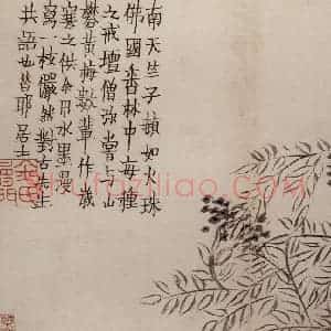 1759年 金农《杂画册》国画花鸟作品图片赏析