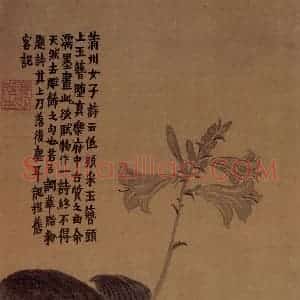 1754年 金农《杂画册》国画花鸟作品图片赏析