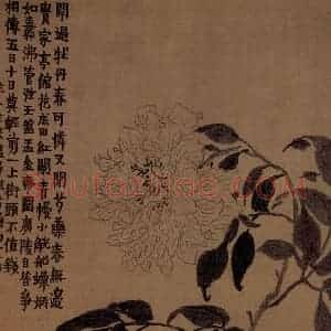 1754年 金农《杂画册》国画花鸟作品图片赏析
