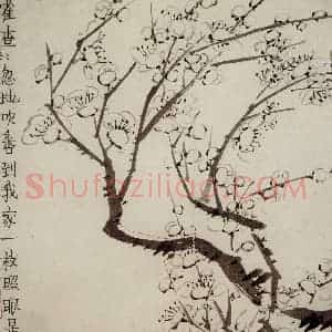 1754年 金农《梅花册》国画花鸟作品图片赏析