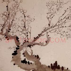 1754年 金农《梅花册》国画花鸟作品图片赏析