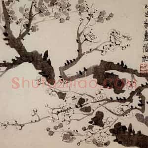 1754年 金农《梅花册》国画花鸟作品图片赏析