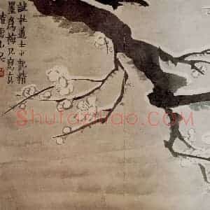 1754年 金农《梅花册》国画花鸟作品图片赏析