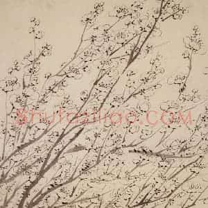 1754年 金农《梅花册》国画花鸟作品图片赏析