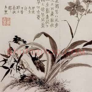 1754年 金农《杂画册》国画花鸟作品图片赏析