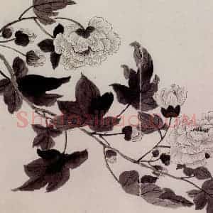 1754年 金农《杂画册》国画花鸟作品图片赏析