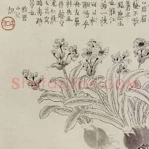 1754年 金农《杂画册》国画花鸟作品图片赏析