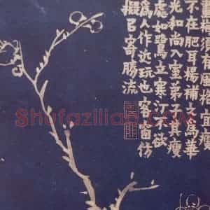 1757年 金农《梅花十二开》国画花鸟作品图片赏析