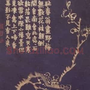 1757年 金农《梅花十二开》国画花鸟作品图片赏析
