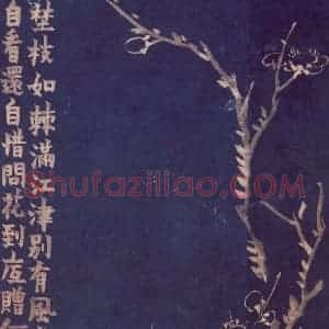 1757年 金农《梅花十二开》国画花鸟作品图片赏析