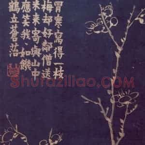 1757年 金农《梅花十二开》国画花鸟作品图片赏析