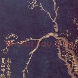 1757年 金农《梅花十二开》国画花鸟作品图片赏析