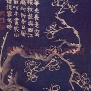 1757年 金农《梅花十二开》国画花鸟作品图片赏析