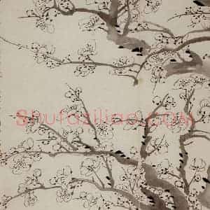 1757年 金农《梅花册》国画花鸟作品图片赏析