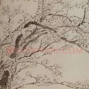 1757年 金农《梅花册》国画花鸟作品图片赏析