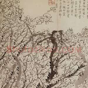 1757年 金农《梅花册》国画花鸟作品图片赏析