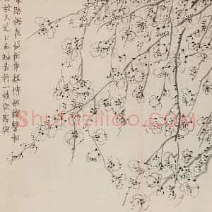 1757年 金农《梅花册》国画花鸟作品图片赏析