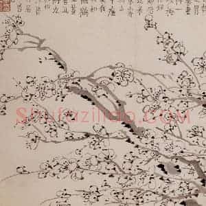 1757年 金农《梅花册》国画花鸟作品图片赏析