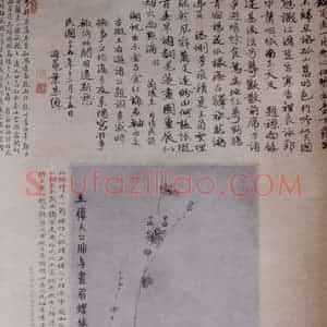 1760年 金农《黛影暗香图》国画花鸟写意作品图片赏析