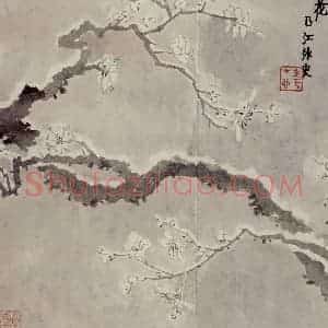 1760年 金农《梅花册》国画花鸟写意作品图片赏析
