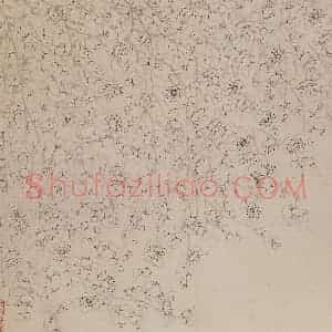 1760年 金农《梅花册》国画花鸟写意作品图片赏析