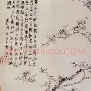 1760年 金农《梅花册》国画花鸟写意作品图片赏析