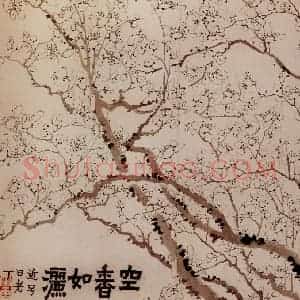 1760年 金农《梅花册》国画花鸟写意作品图片赏析