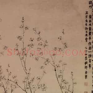 1760年 金农《墨梅》国画花鸟写意作品图片赏析