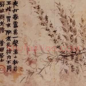 1761年 金农《花卉册》国画花鸟写意作品图片赏析
