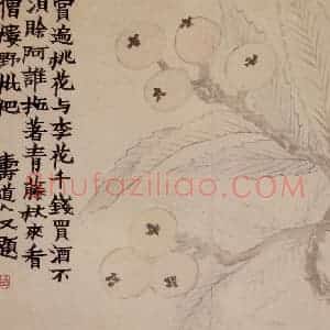 1761年 金农《花卉册》国画花鸟写意作品图片赏析