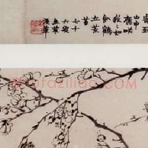 1762年 金农《梅花卷》国画花鸟写意作品图片赏析