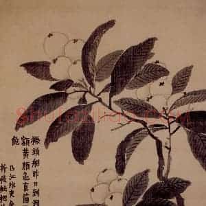 金农《花卉册》国画花鸟写意作品图片赏析