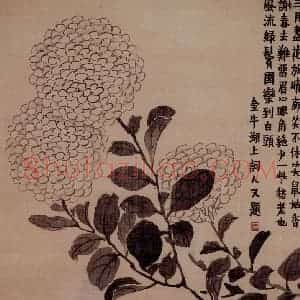 金农《花卉册》国画花鸟写意作品图片赏析